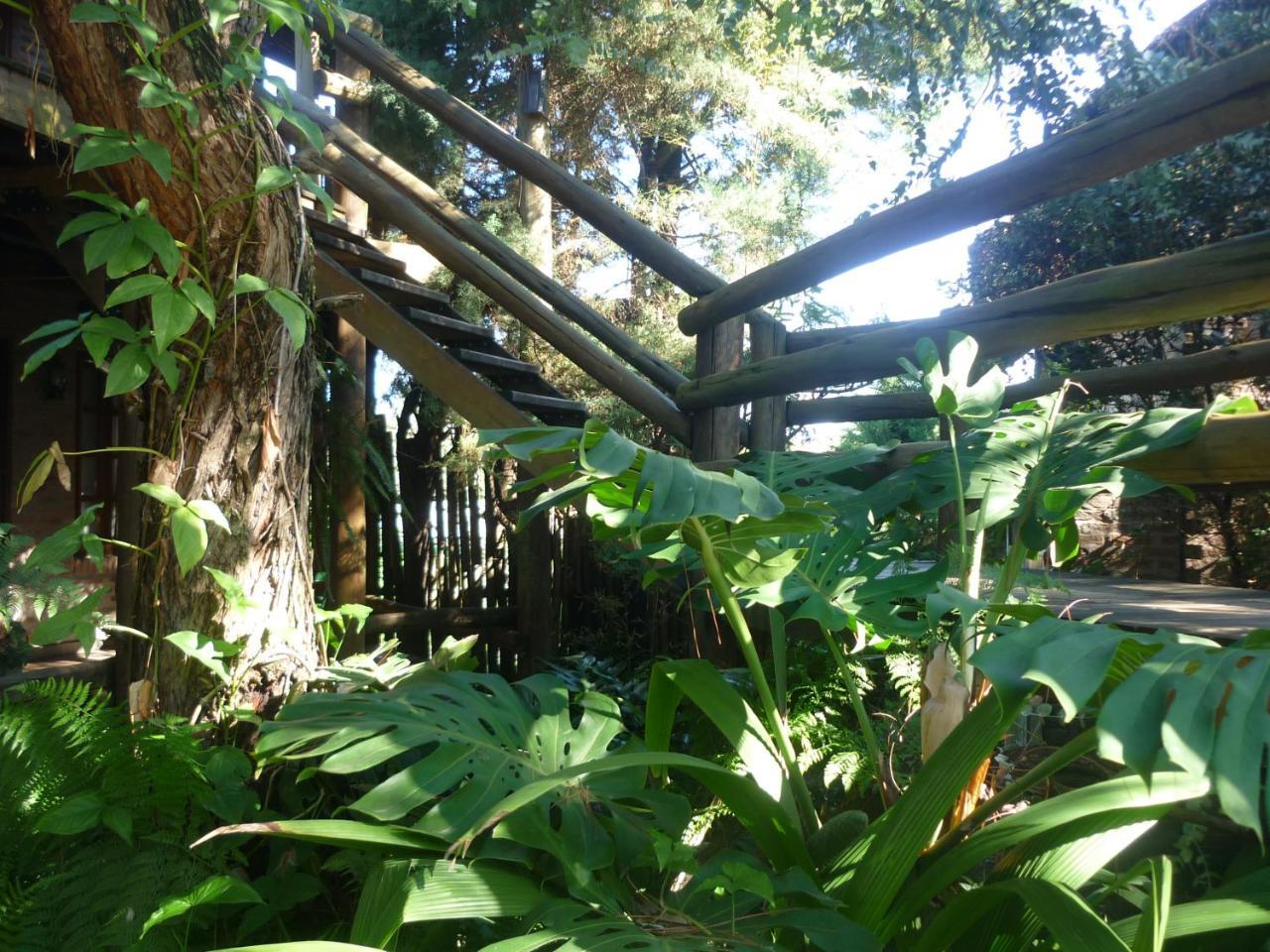 Cabanas Del Uru Colón エクステリア 写真